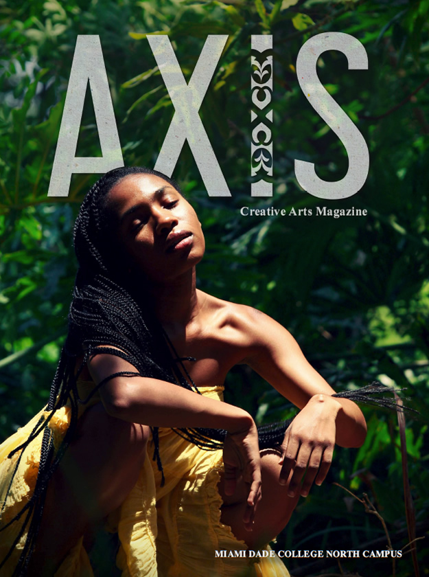 Vol. 17 Magazine Cover