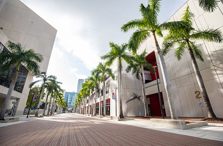 Wolfson Campus Photo